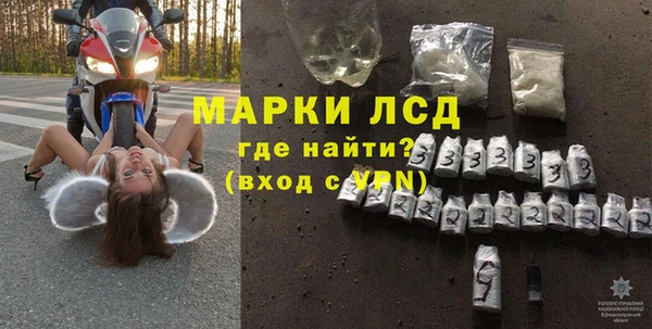 прущие грибы Алексеевка