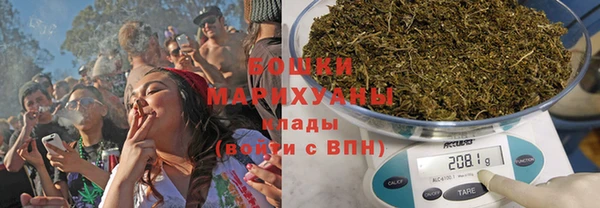 прущие грибы Алексеевка